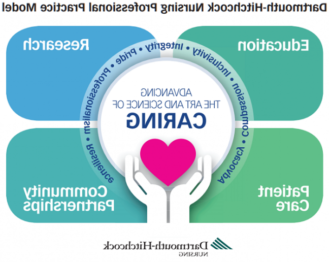 A graphic showing the elements of the D-H Nursing Professional Practice Model